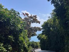 -三亚蜈支洲岛旅游区