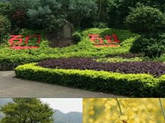 -天适樱花悠乐园