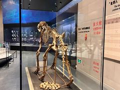 -北京周口店北京人遗址博物馆