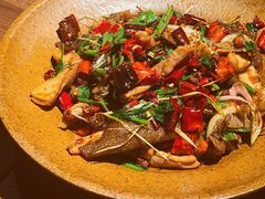 油呛双脆-Night Breeze晚风