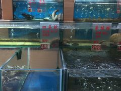 -东方之珠海鲜酒楼(南开店)