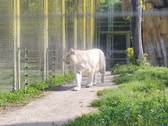 -上海野生动物园