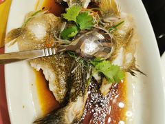 -丰收日·小海鲜·沪上家宴(顾村正大店)