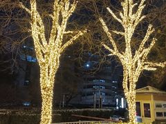 -北京歌华开元大酒店