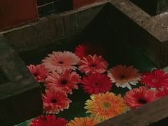 -花马天堂云南餐厅 Lost Heaven(外滩店)