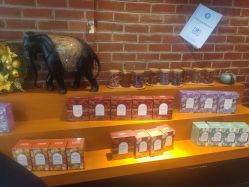 -时尚殿堂·颜SPA