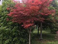 -木塔寺遗址生态公园