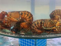 -抹直口特色菜馆(一店)