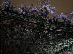 -五台山游泳馆