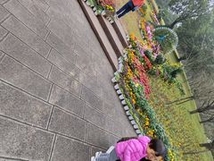 -南山植物园