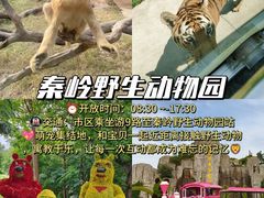 -西安秦岭野生动物园