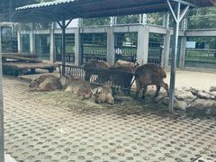 -西安秦岭野生动物园