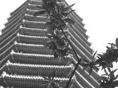 -玲珑塔公园