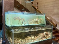 -樱之盛宴·蟹料理海鲜自助(前进大街店)
