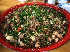 -东吴霸王兔(松青路店)