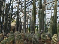 -南山植物园