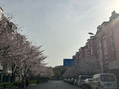 -永乐路-路侧停车场