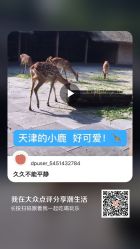 点击看大图 -小忠丽格医美