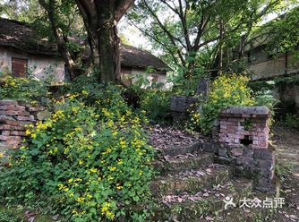 附近有家泗海鱼庄，老店，巴适得板