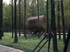 -黄海国家森林公园