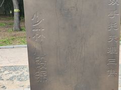 -石家庄市植物园
