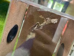 -上海昆虫博物馆