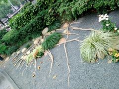 -常州古运河南大街文化旅游区-人民公园
