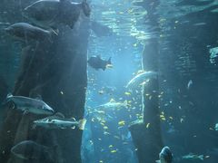 -福州罗源湾海洋世界旅游区