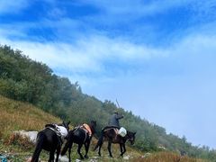 -灵山