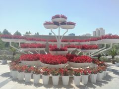-雁滩公园