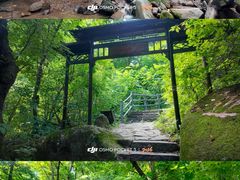 -三块石国家森林公园
