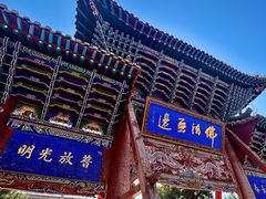 -张掖大佛寺景区