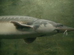 -东方巨龟苑景区