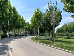-东营·森林乐园