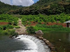 -广州市石门国家森林公园
