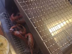 -柿子树炭烤羊腿(金台路店)