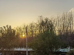 -合肥滨湖国家森林公园