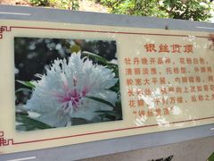 -洛阳市隋唐城遗址植物园