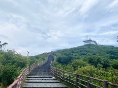 -大围山国家森林公园