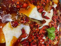 -晓彭肥肠鸡(茂业天地店)