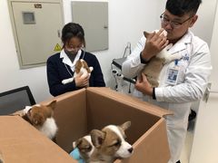 -萌兽医馆·绝育·24小时内科·宠物医院(德胜店)