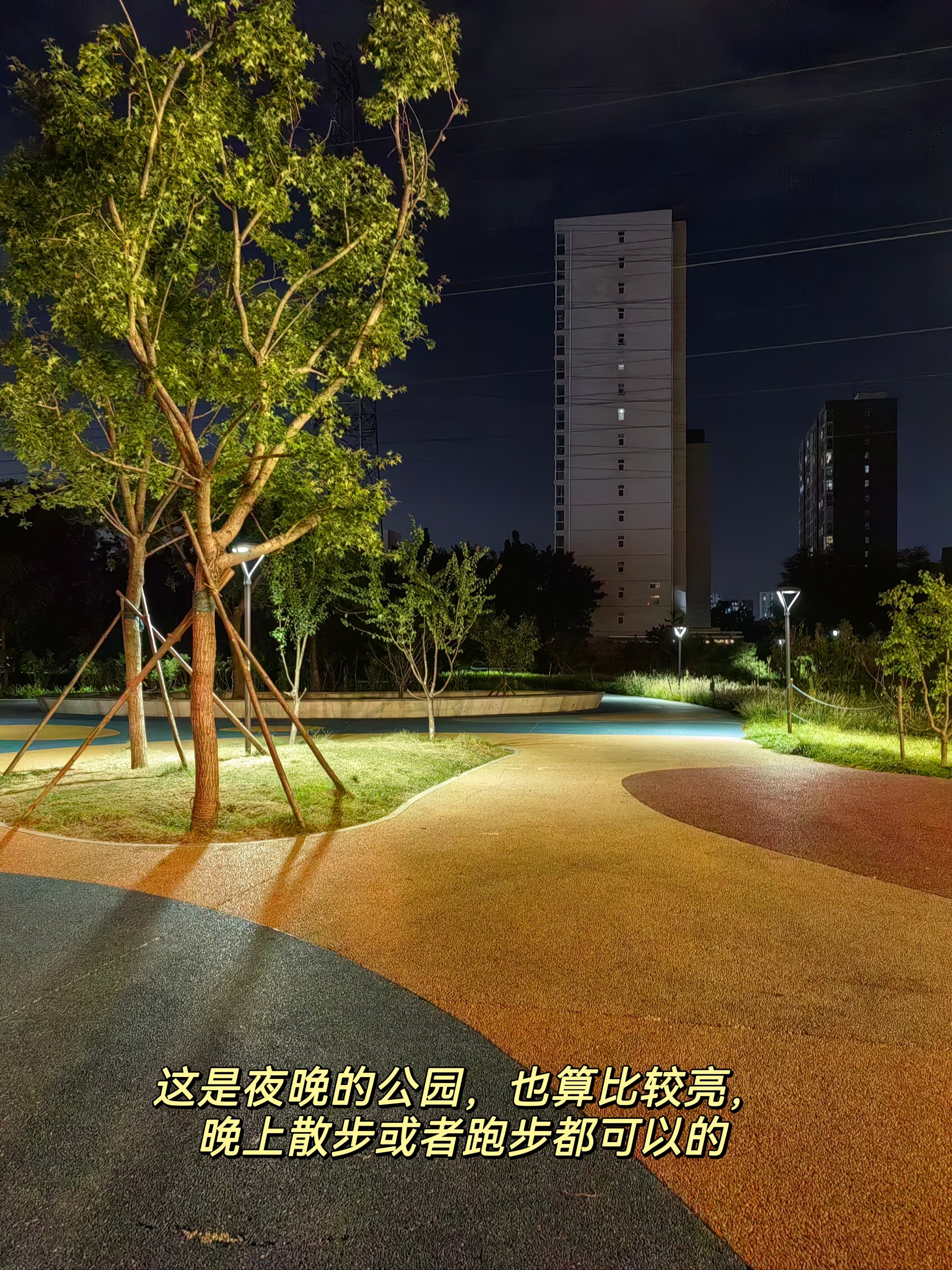 清河新建的公园图片