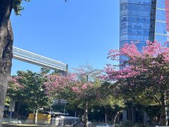-速马赫卡丁车(琶洲店)