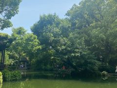 -惠山古镇·寄畅园