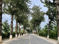 -朱辛庄(地铁站)