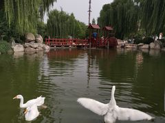 -唐城墙遗址公园