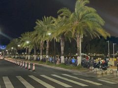-野狸岛