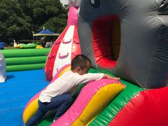 -中国福利会少年宫