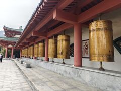 -龙口南山旅游景区