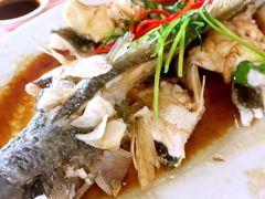-莲花公园煎蟹(总店)